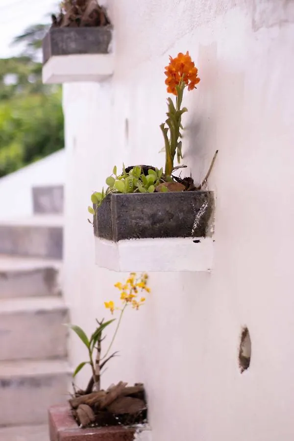 Azamat Self-Catering Apartment Pointe La Rue 0*,