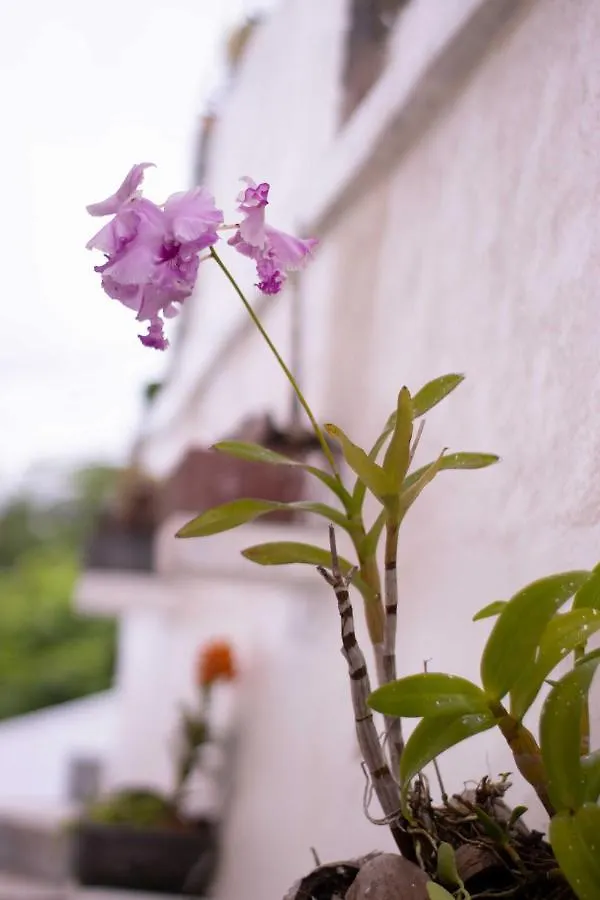 Azamat Self-Catering Apartment Pointe La Rue